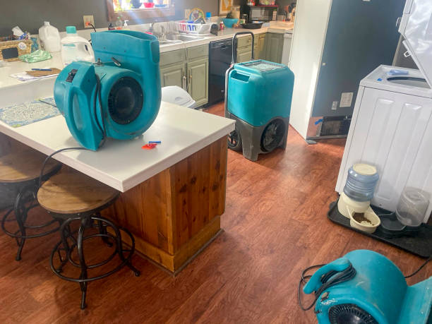 Best Mold removal after water damage  in Middleburg, PA
