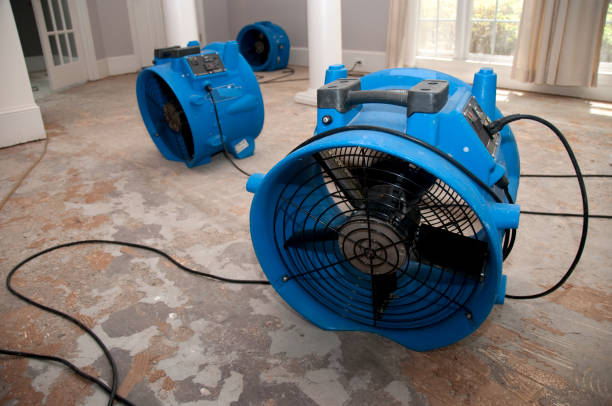 Best Fire Damage Restoration  in Middleburg, PA